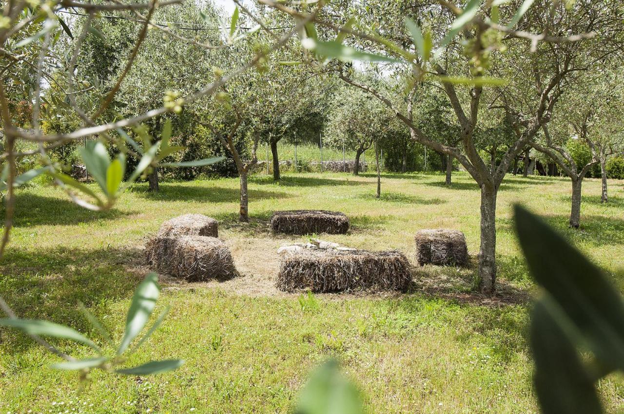 مارتينا فرانكا B&B Trulli Valle D'Itria المظهر الخارجي الصورة