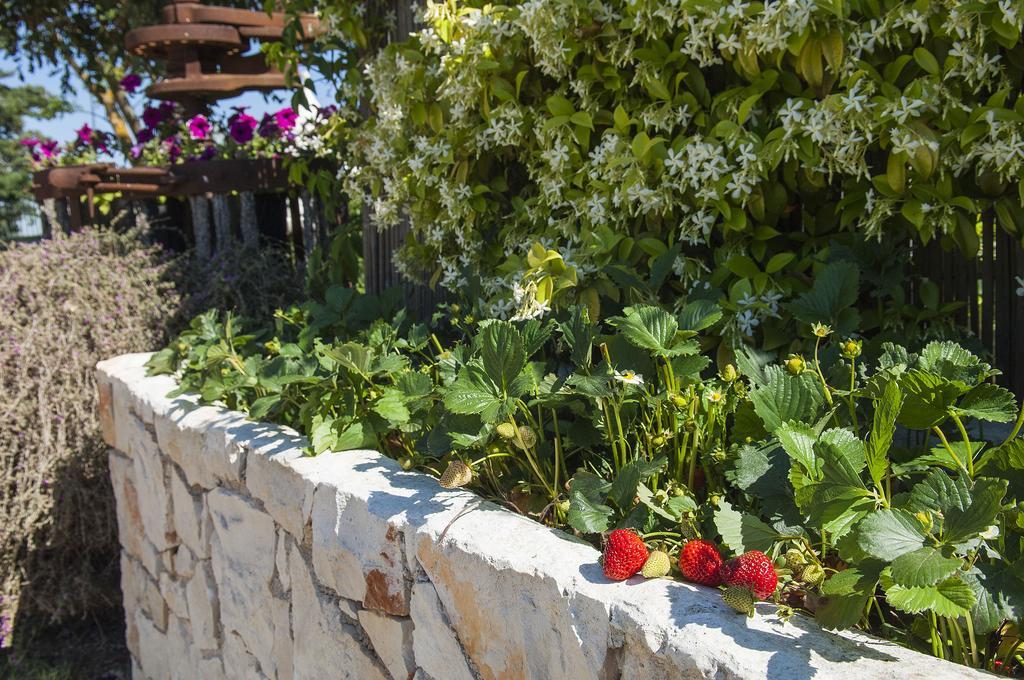 مارتينا فرانكا B&B Trulli Valle D'Itria المظهر الخارجي الصورة