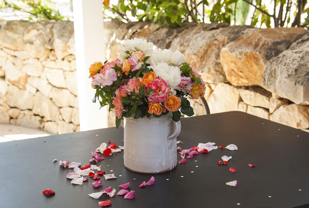 مارتينا فرانكا B&B Trulli Valle D'Itria المظهر الخارجي الصورة